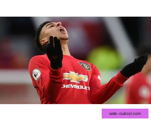 热刺求购萨默维尔标价2500万